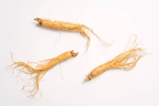 istock LINGZHI AND GINSENG 1807373808