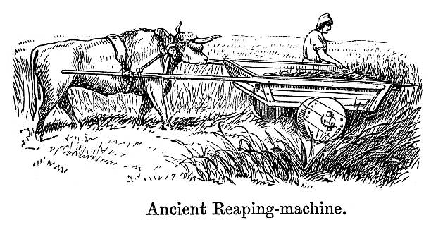 Ancient Reaping Machine Vintage engraving from 1864 of showing a farmer using an ancient reaping machine threshing stock illustrations
