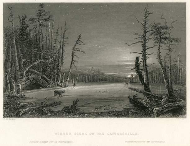 冬の風景、catterskills キャッツキル山脈アンティークのプリント - antique engraved image moonlight night点のイラスト素材／クリップアート素材／マンガ素材／アイコン素材