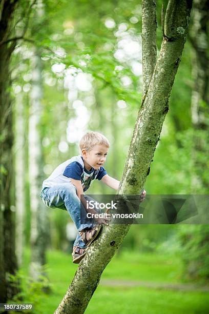 小さな凱旋 - 樹木のストックフォトや画像を多数ご用意 - 樹木, クライミング, よじ登る