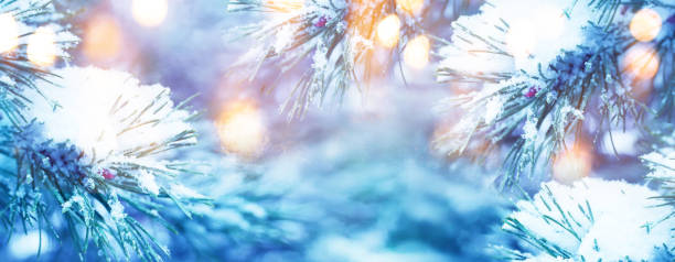 Christmas Tree. Christmas New Year Winter blurred background. Magic winter snow landscape. Christmas greeting card. Christmas lights. Space for text.