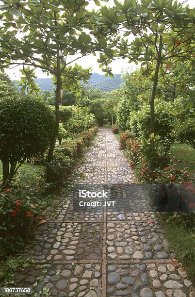 Percorso Pietra Giardino Interno - Fotografie stock e altre immagini di Albero - Albero, Ambientazione esterna, Ambientazione tranquilla