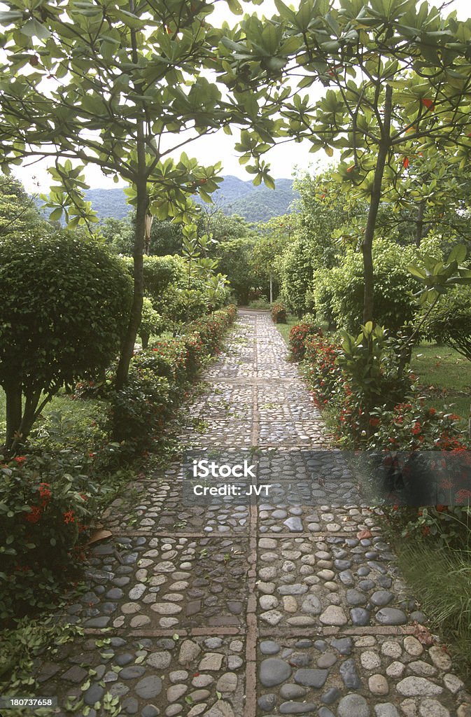 Caminho de Pedra de jardim com linhas. - Royalty-free Ajardinado Foto de stock