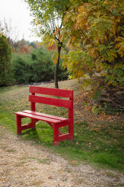 istock Bench in a Beautiful Public Park 1807377013