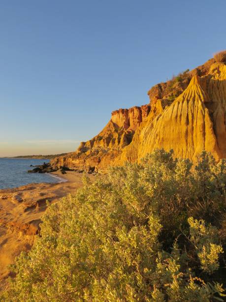 istock Majestic Australian Beach 1807377554