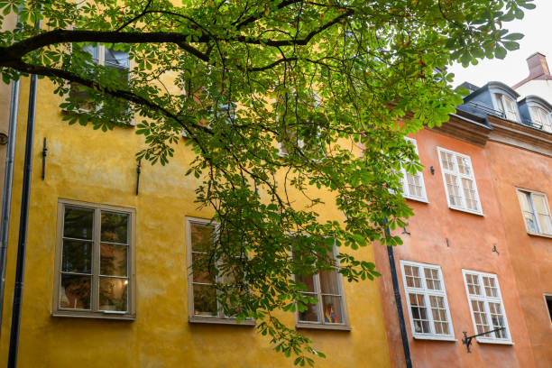 istock Stockholm, Sweden: Beautiful Square in old town Gamla Stan 1807378108