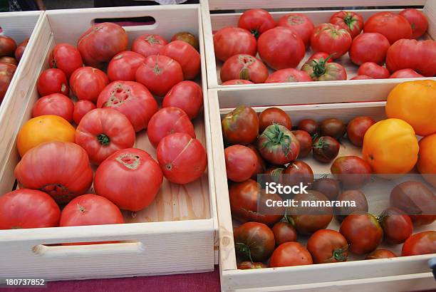 토종 토마토 농부의 시장 0명에 대한 스톡 사진 및 기타 이미지 - 0명, 건강한 식생활, 노랑