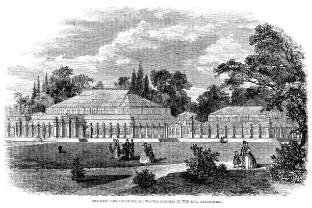 Kew Gardens "Vintage engraving from 1862 showing the conservatory or winter garden at Kew Gardens, London" kew garden stock illustrations