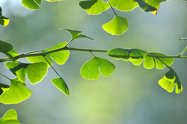 istock Beauty in nature 180738015