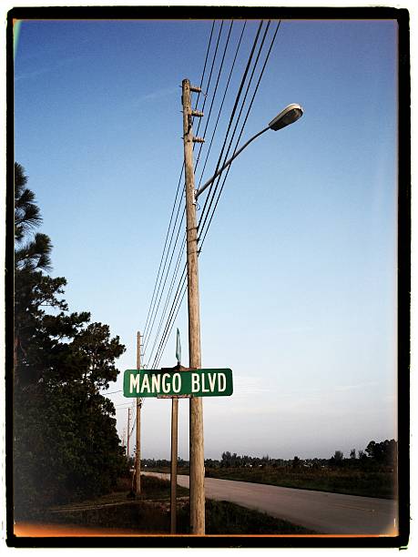 Mobilestock Suburban street scene