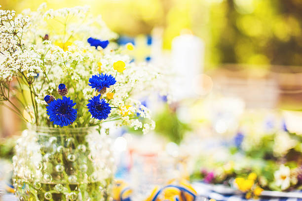 verão flores - cultura sueca imagens e fotografias de stock