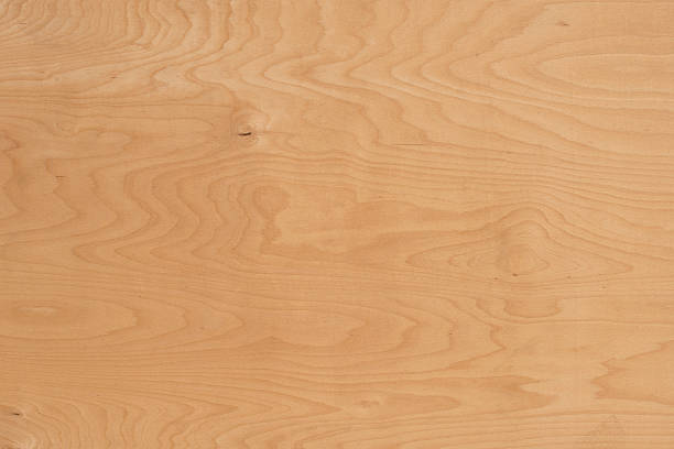 Background of light beech wood grain stock photo
