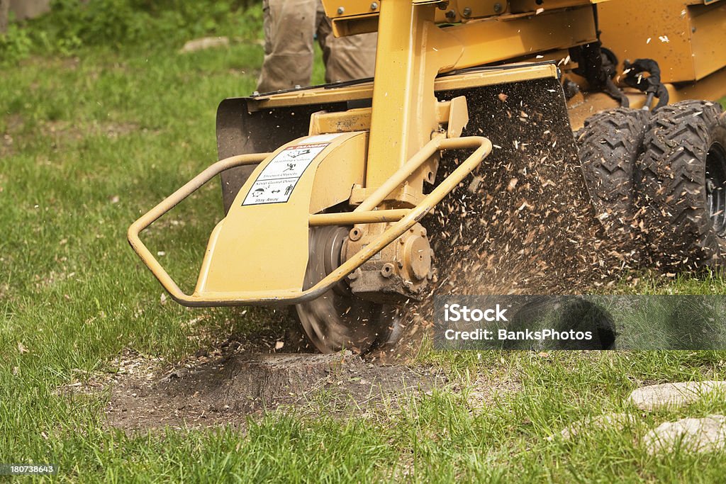 Stump Grinding Machine Removing Cut Tree A stump grinding machine is removing the remaining stump of a cut tree in a grass yard. The spinning blade grinds the stump from the ground allowing the area to be filled in with soil and grass. Tree Stump Stock Photo