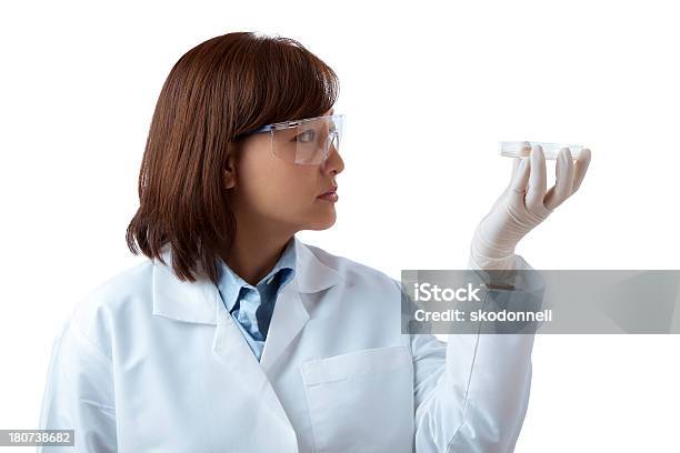 Científico Asiática Sosteniendo Una Placa De Petri Foto de stock y más banco de imágenes de Científico - Científico, Guay, Mujeres