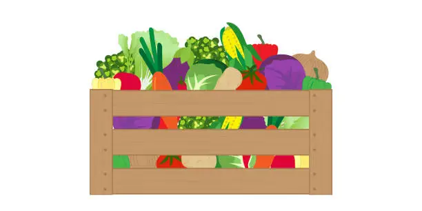Vector illustration of Wooden box filled with assorted fresh vegetables.