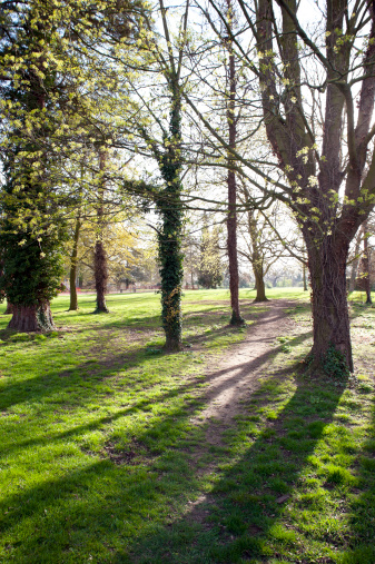 A walk through parkland in Basingstoke