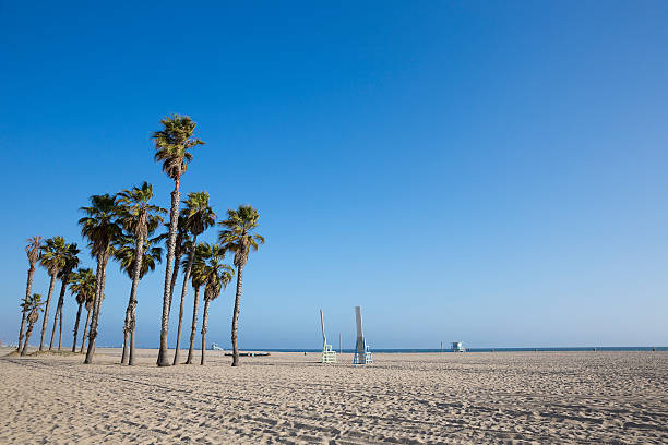 istock Empty Venice beach in California with palm trees 180739906