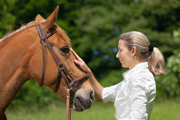 istock mutual trust horse woman 180739930