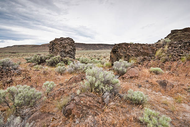 East of the Cascade Mountains, Washington’s climate is arid and the terrain is desert-like. Summertime temperatures can exceed 100 degrees Fahrenheit in regions such as the Yakima Valley and the Columbia River Plateau. This is an area of rolling hills and flatlands. During the last Ice Age, 18,000 to 13,000 years ago, floods flowed across this land, causing massive erosion and leaving carved basalt canyons, waterfalls and coulees known as the Channeled Scablands. Frenchman Coulee is a valley leading through the scablands and down to the Columbia River. Volcanic in origin, it is defined by basalt cliffs. Frenchman Coulee is near Vantage, Washington State, USA.