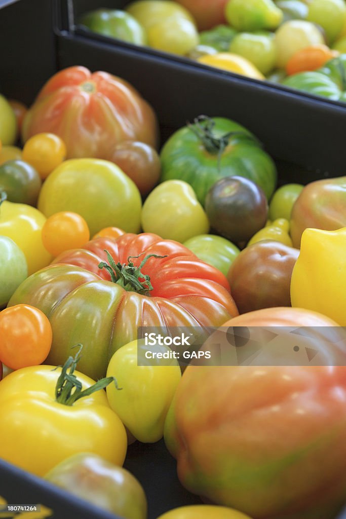 Różne odmiany pomidory w pudełku - Zbiór zdjęć royalty-free (Bez ludzi)