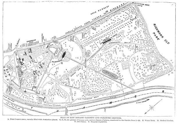 Map of Kew Gardens "Vintage engraving from 1862 showing a Map of Kew Gardens, England" kew gardens stock illustrations