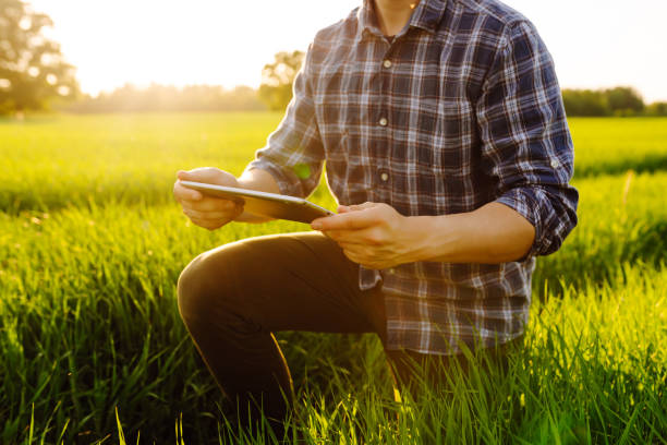 istock Young farmer with a modern tablet on a green wheat field. 1807414807