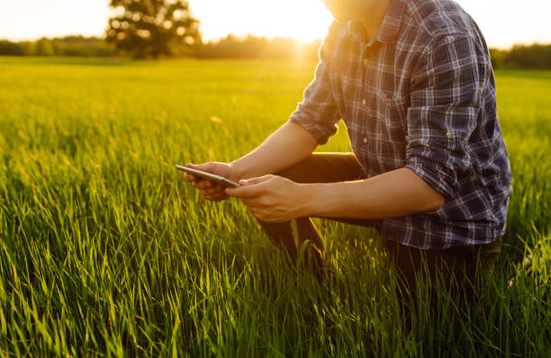 istock Young farmer with a modern tablet on a green wheat field. 1807414814