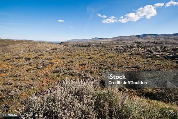 Foto de Artemísia Em Umtanum Ridge e mais fotos de stock de América do Norte - América do Norte, Artemísia, Beleza natural - Natureza