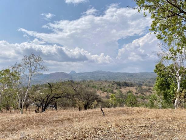 istock View of the forest surrounded by mountains and blue sky 1807418126