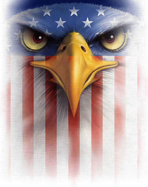 illustrazioni stock, clip art, cartoni animati e icone di tendenza di bald eagle con bandiera usa - north america bald eagle portrait vertical