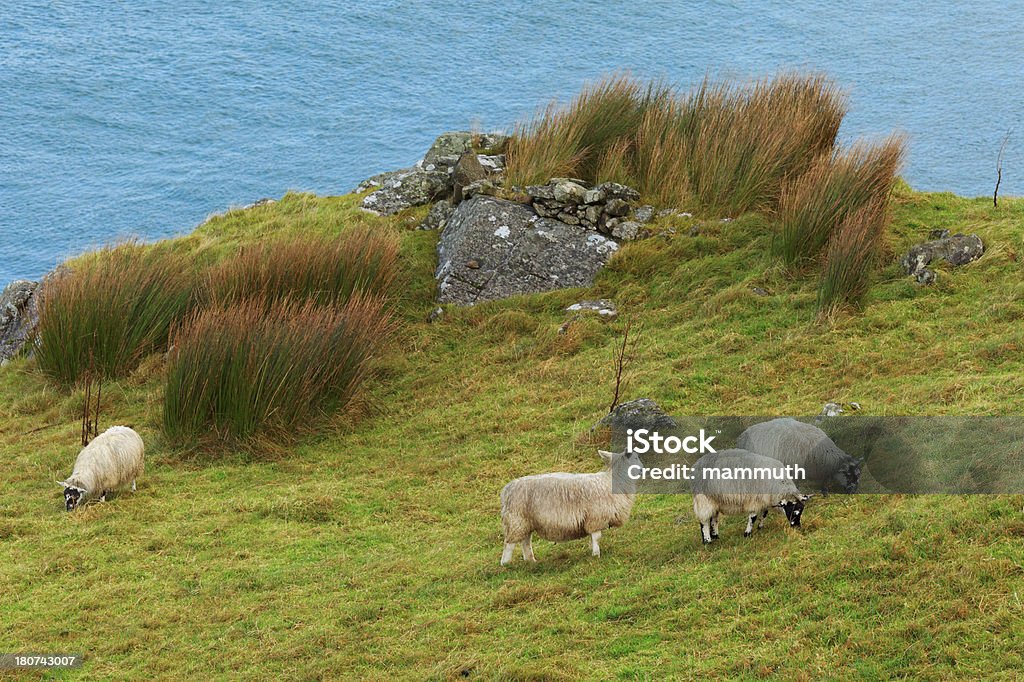 Costa en Irlanda - Foto de stock de Agua libre de derechos