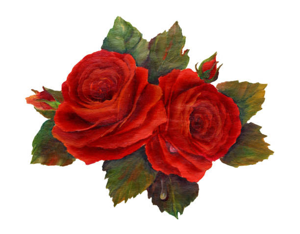 オリジナルアートの赤いバラアクリル画 - rose white background red bouquet点のイラスト素材／クリップアート素材／マンガ素材／アイコン素材