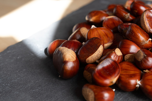 Horse-chestnut (Aesculus hippocastanum, Conker tree) flowers, leaf and seeds on a white background