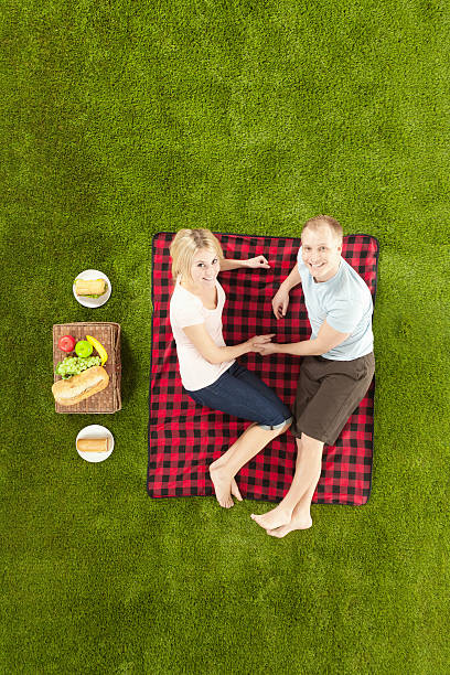 istock Romantic couple at picnic 180744936