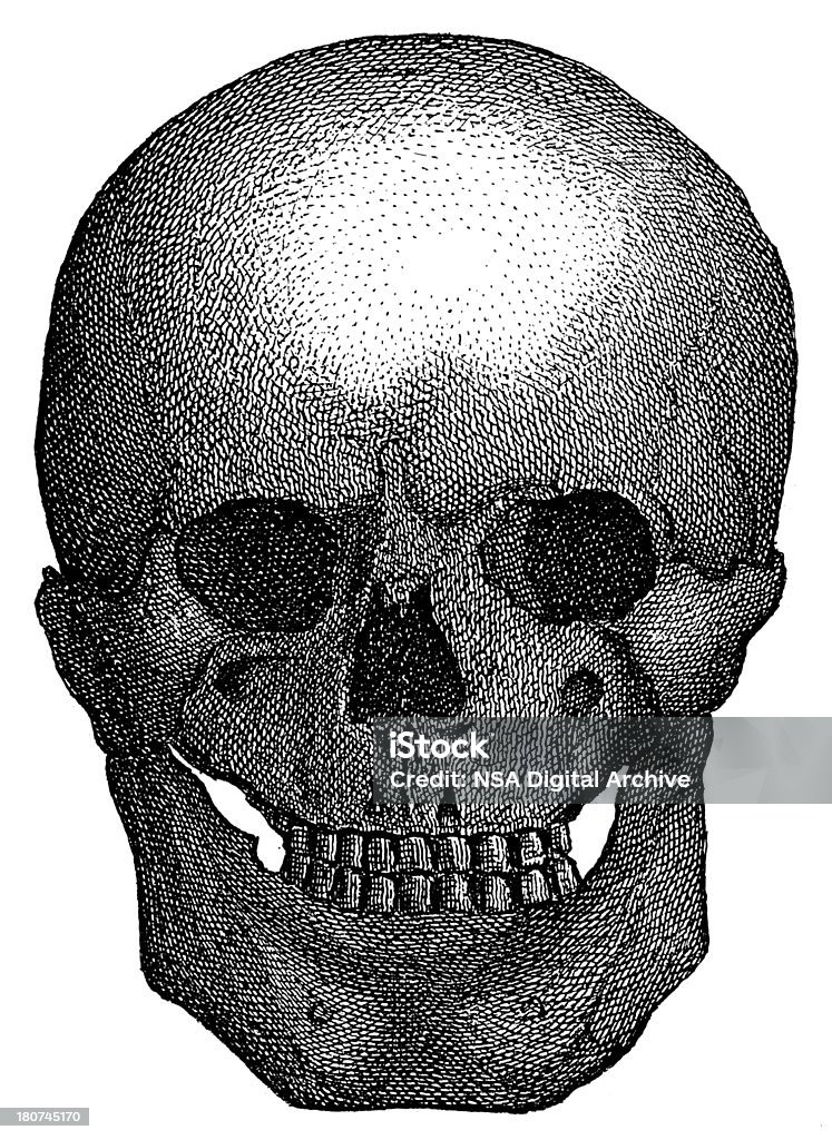 Pré-histórico crânio (Aviso madeira antiga) - Ilustração de Anatomia royalty-free