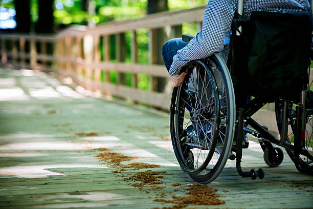 istock Wheelchair Access On A Timbered Walkway 180745573