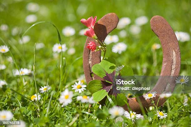 O Melhores - Fotografias de stock e mais imagens de Alegria - Alegria, Aniversário, Antigo