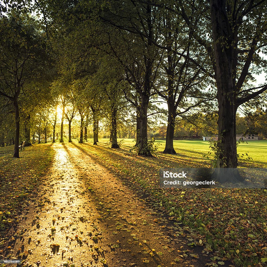 Otoño camino al atardecer - Foto de stock de Edimburgo libre de derechos