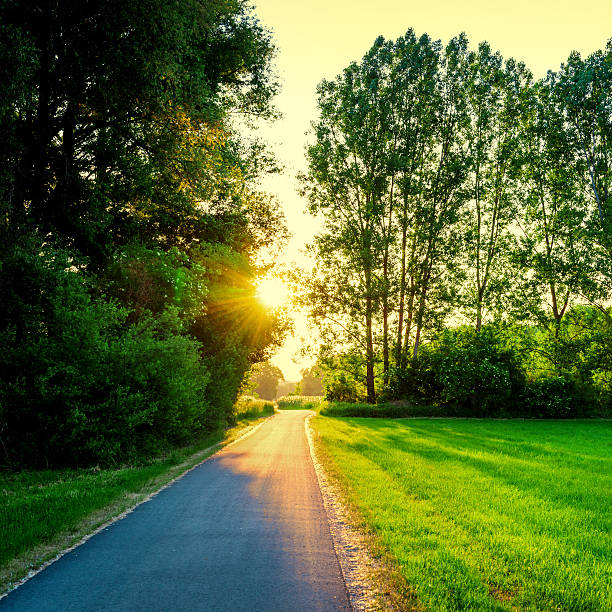 rural road on a sunny afternoon