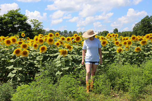 Woman wearing sunhat and boots checking crop ready to harvest.
