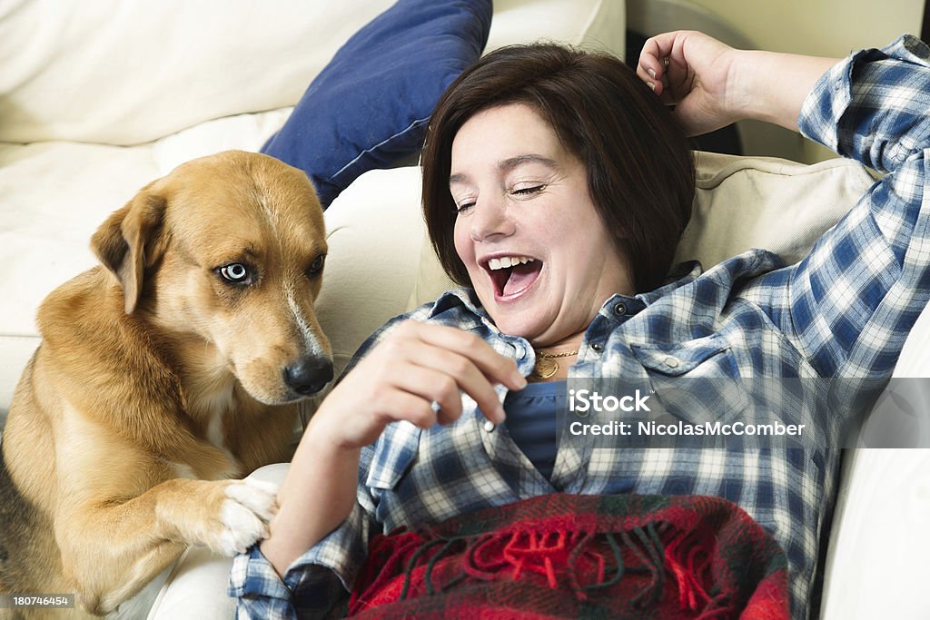 Dog requesting a stroking Dog requesting a stroking by patting his laughing master's arm.A selection of related photographs: 40-44 Years Stock Photo