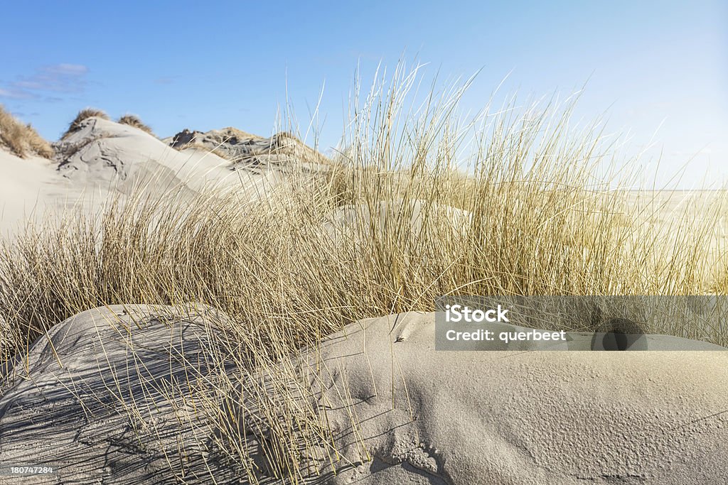 Dune Landschaft - Lizenzfrei Insel Sylt Stock-Foto