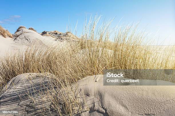 Dune Landschaft Stockfoto und mehr Bilder von Insel Sylt - Insel Sylt, Strandhafer, Sanddüne