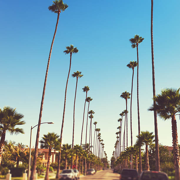 istock Sunset strip in los angeles 180747580