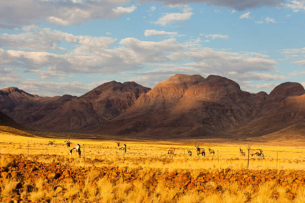 istock namibian landscape with gemsbok 180748395