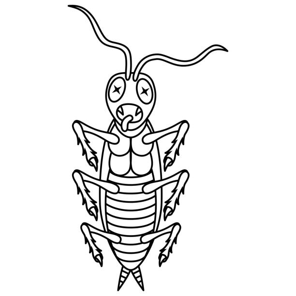 ilustrações, clipart, desenhos animados e ícones de arte da linha cartoon dead cockroach - insecticide vector illness mustache