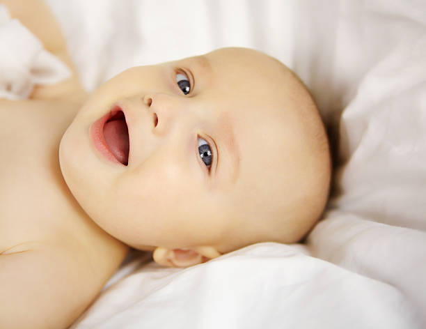 istock Alert and filled with wonder 180749028
