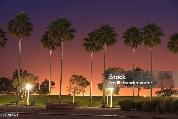 Photo libre de droit de Longbeach Le Phare California banque d'images et plus d'images libres de droit de Nuit - Nuit, Palmier, Sunset Boulevard