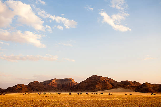 istock Namibian landscape at dusk 180749612