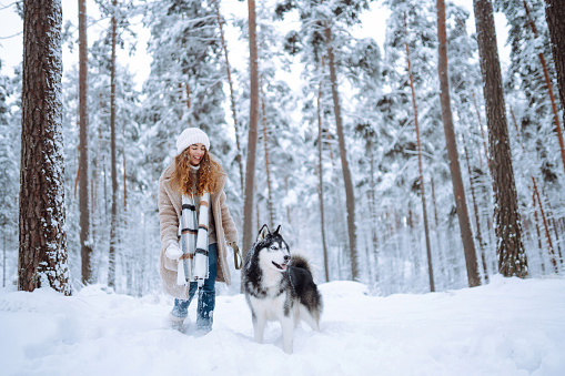 Beautiful young woman walks through the winter forest with her dog. A young woman with her pet on an adventure. Friendship concept, pets. Friendship between a woman and a dog.